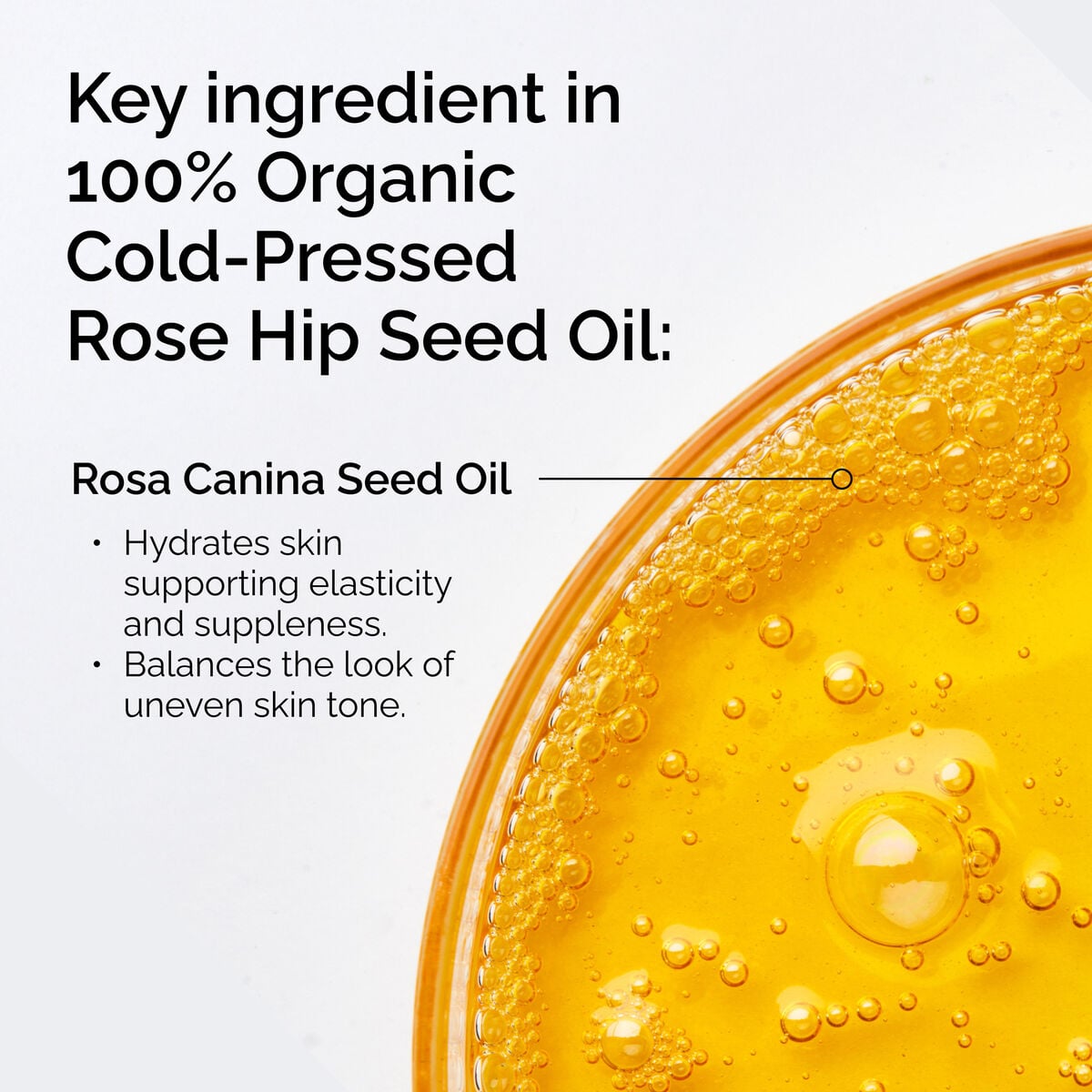 100-organic-cold-pressed-rose-hip-seed-oil-x2 FY25-D41247-ORD-Web-PDP-100-Rose-Hip-Oil-1x1-EN-2.jpg