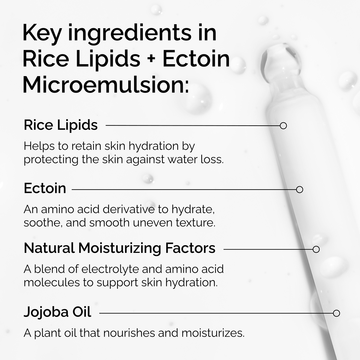 rice-lipids-ectoin-microemulsion-v0 ord-rice-lipids-ectoin-microemulsion-key-ingredients.png