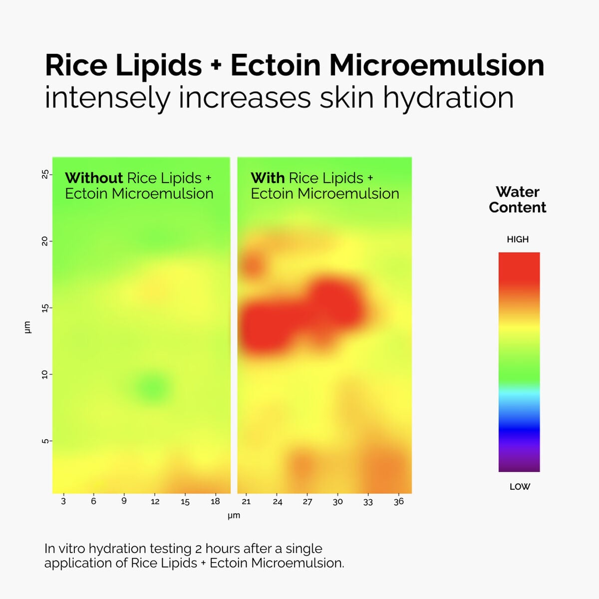 rice-lipids-ectoin-microemulsion-v0 ord-rice-lipids-ectoin-microemulsion-thermal-before-after.jpg